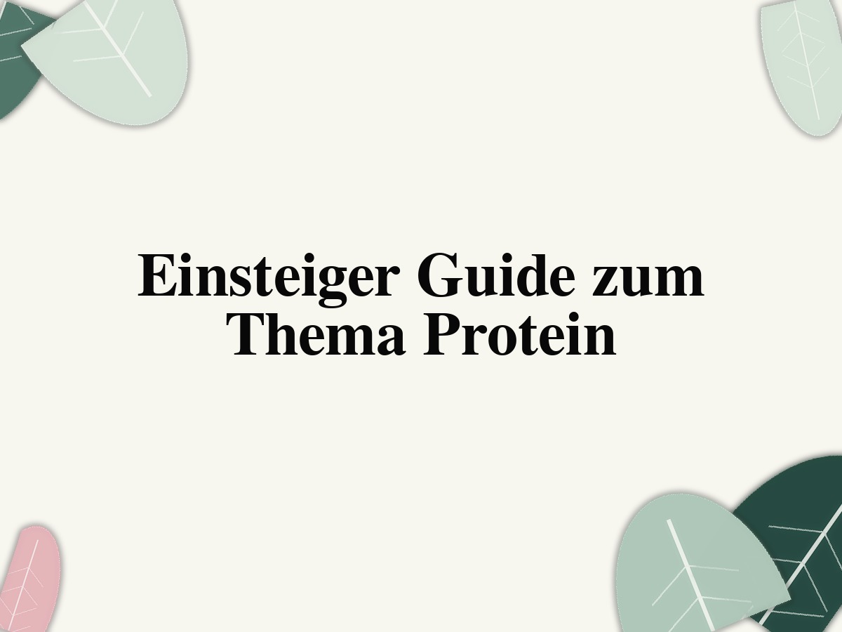 Einsteiger Guide zum Thema Protein