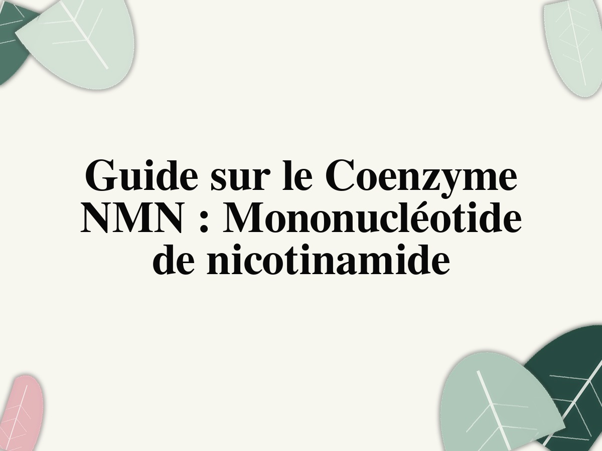Guide sur le Coenzyme NMN : Mononucléotide de nicotinamide
