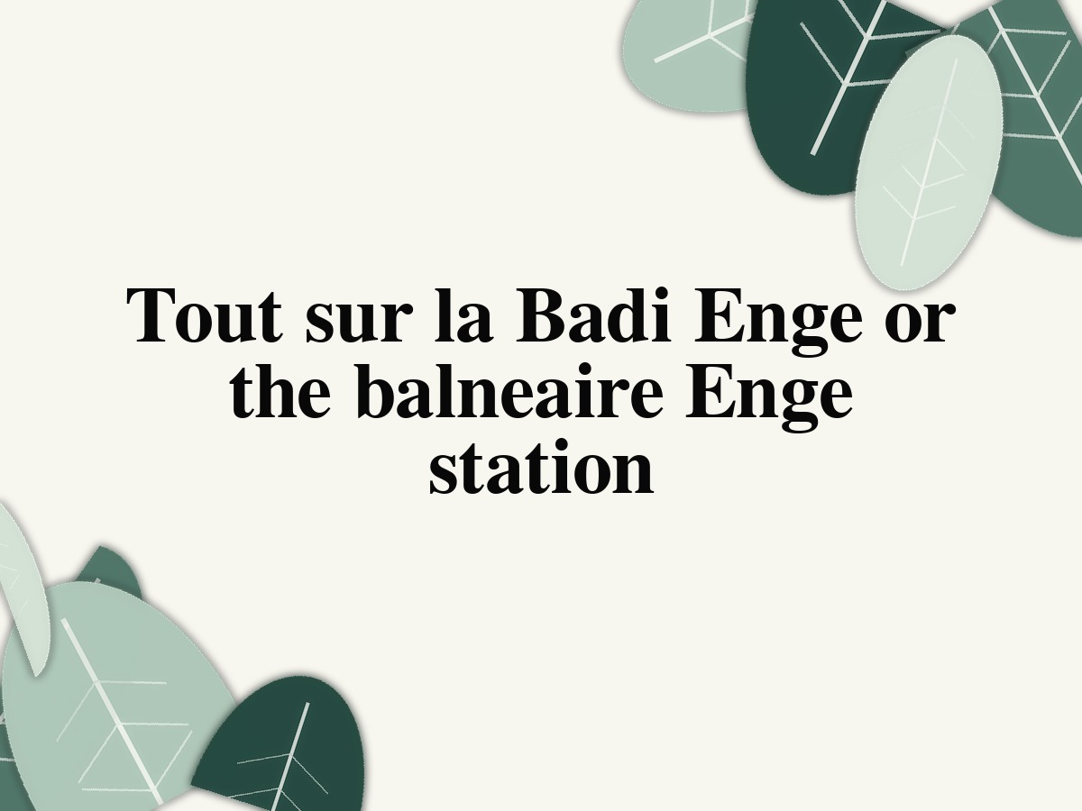 Everything about Badi Enge and Seebad Enge