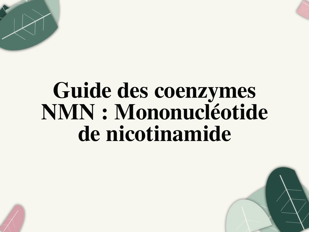 Guide des coenzymes NMN : Mononucléotide de nicotinamide