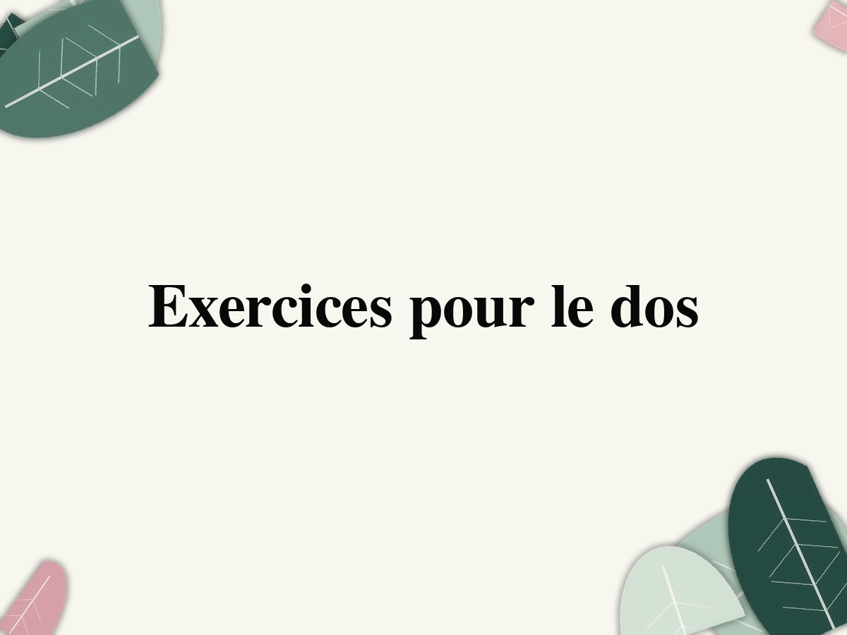 Exercices pour le dos